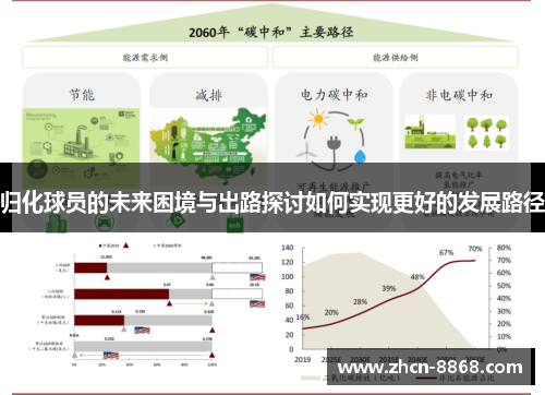 归化球员的未来困境与出路探讨如何实现更好的发展路径