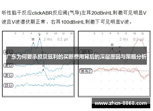 广东为何要承担贝兹利的买断费用背后的深层原因与策略分析