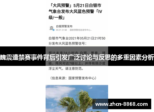 魏震遭禁赛事件背后引发广泛讨论与反思的多重因素分析