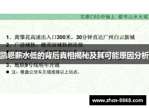 凯恩薪水低的背后真相揭秘及其可能原因分析