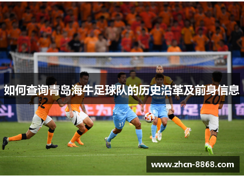 如何查询青岛海牛足球队的历史沿革及前身信息
